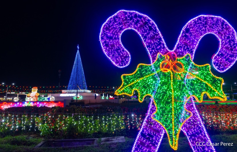 Adornos-Navidad-Managua--(26)