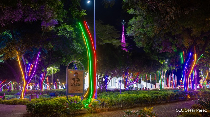 Adornos-Navidad-Managua--(33)