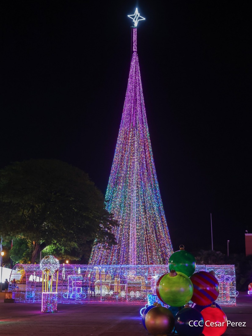 Adornos-Navidad-Managua--(46)