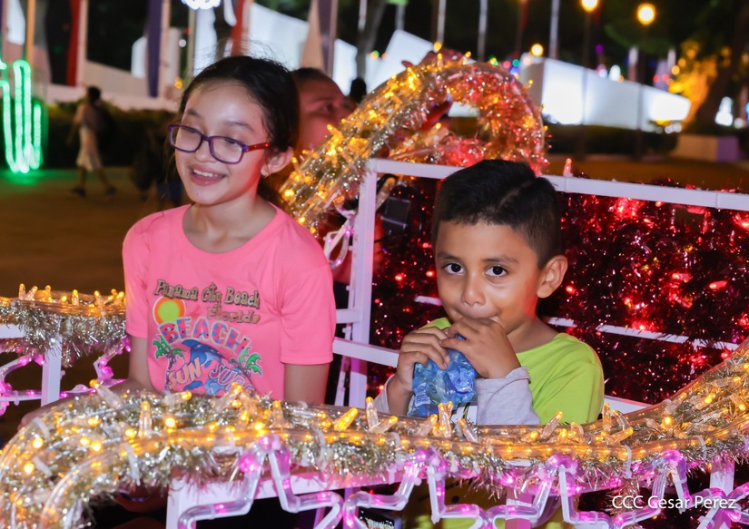 Adornos-Navidad-Managua--(48)