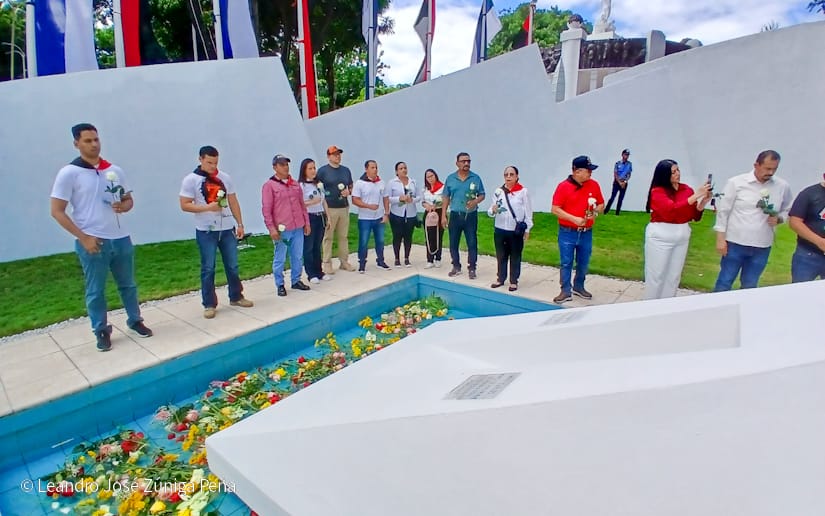 Organos-del-Estado-23