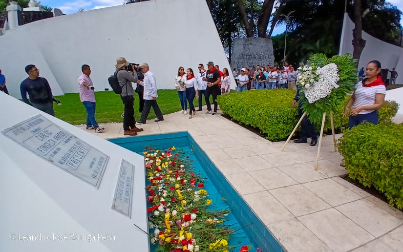 Organos-del-Estado-29