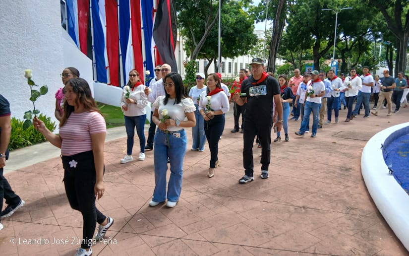 Organos-del-Estado-30