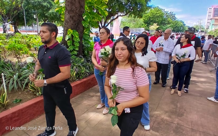 Organos-del-Estado-36