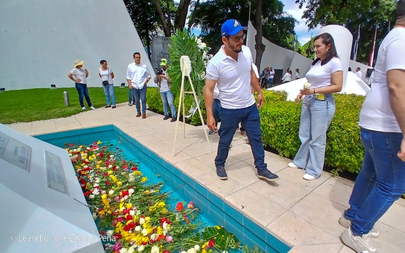 Organos-del-Estado-41