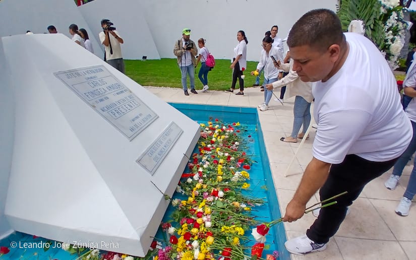 Organos-del-Estado-46