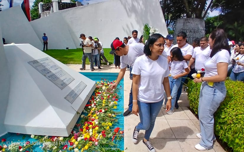 Organos-del-Estado-48