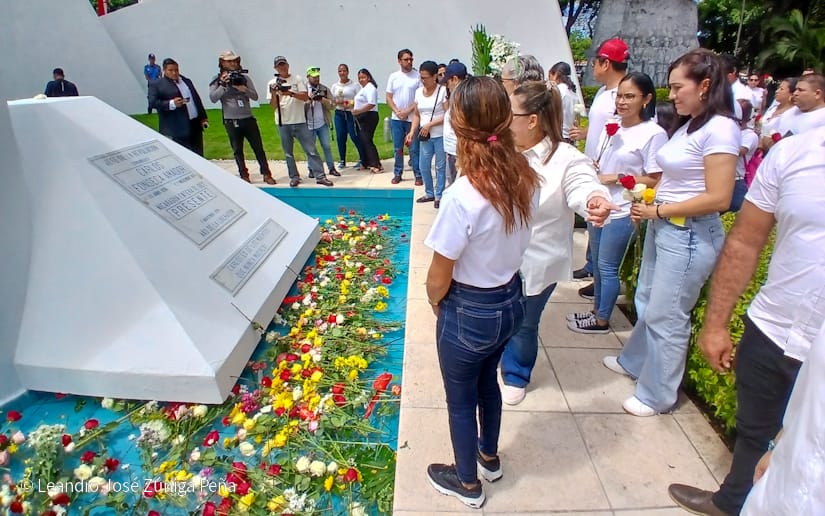 Organos-del-Estado-49