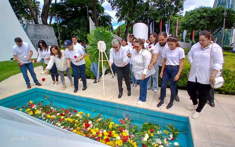 Organos-del-Estado-51