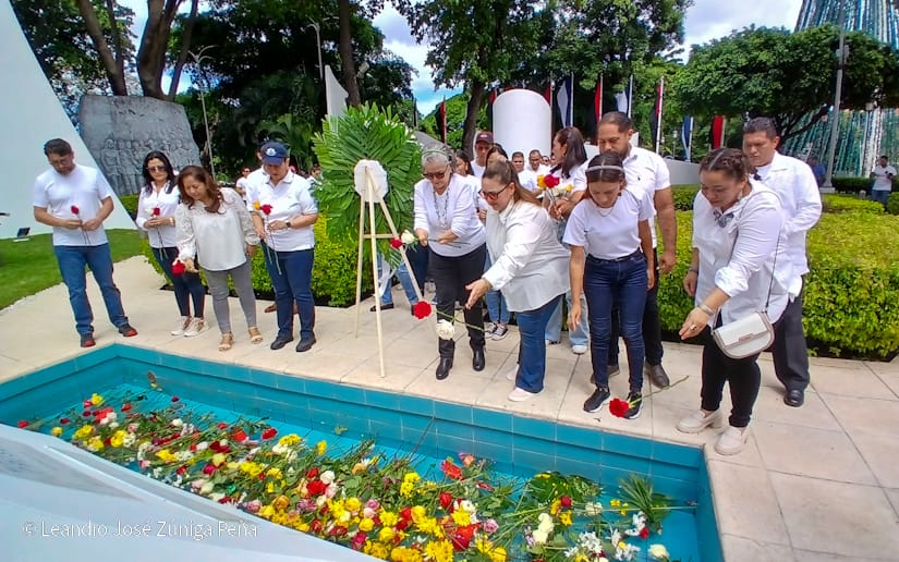 Organos-del-Estado-52