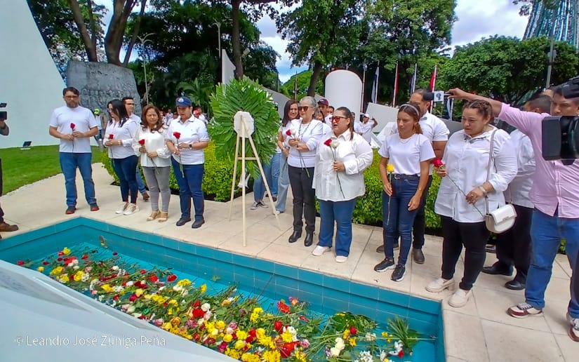 Organos-del-Estado-54