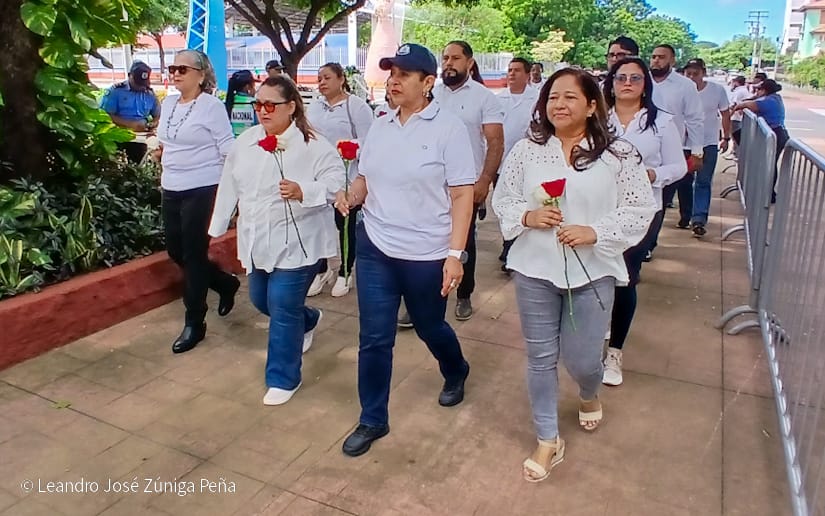 Organos-del-Estado-59