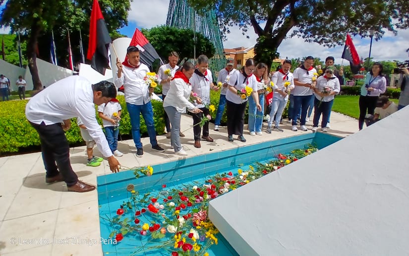 Organos-del-Estado-61