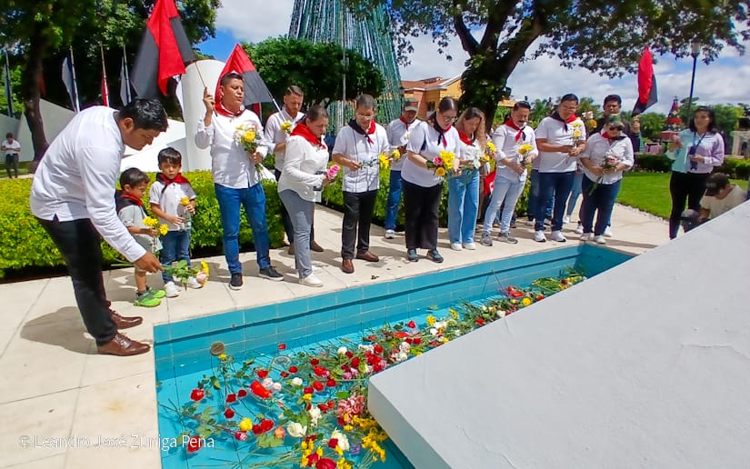 Organos-del-Estado-62