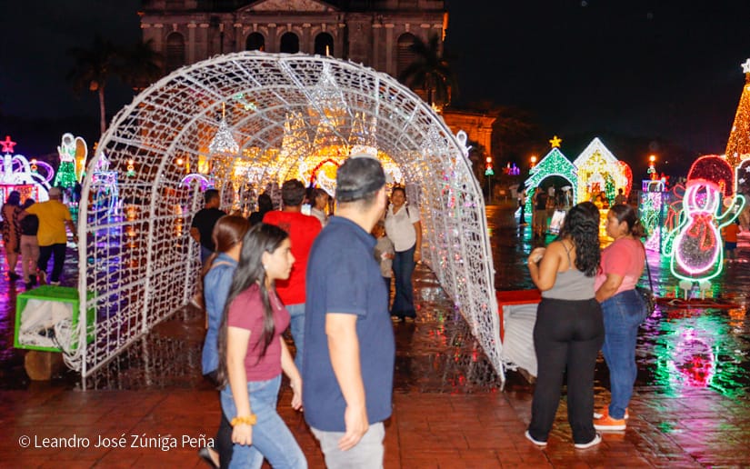 Avenida-Navidad--(10)