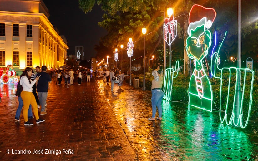 Avenida-Navidad--(11)