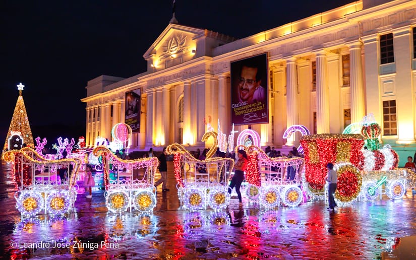 Avenida-Navidad--(12)