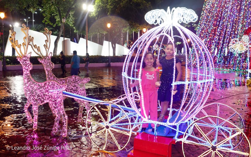 Avenida-Navidad--(23)