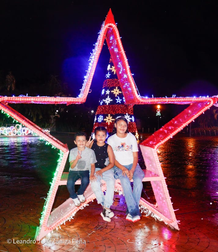 Avenida-Navidad--(26)