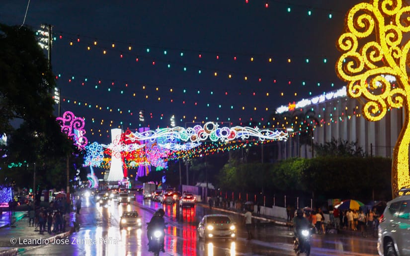 Avenida-Navidad--(5)