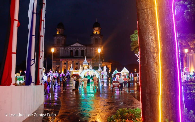 Avenida-Navidad--(7)