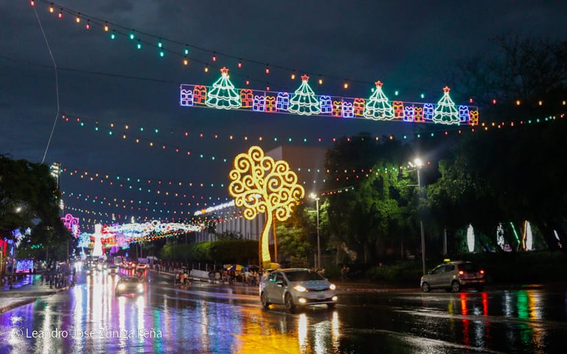 Avenida-Navidad--(9)