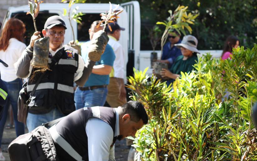 campaña-sensibilizacion-7