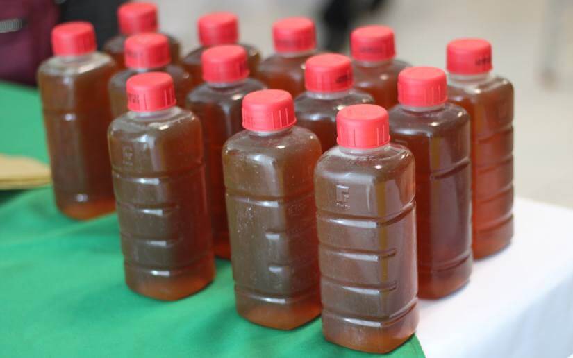 congreso-apicultores-2