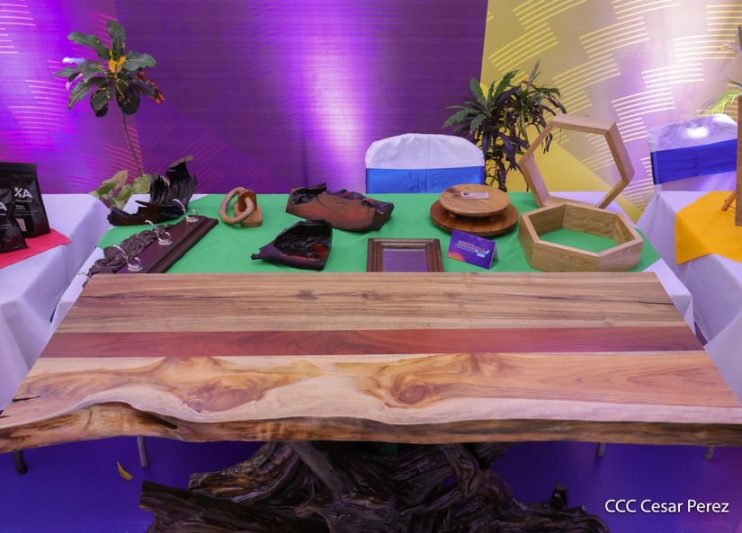 Nicaragua-Emprende-15