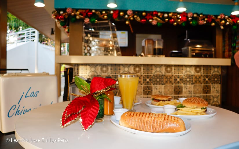 Avenida-Bolivar--(15)