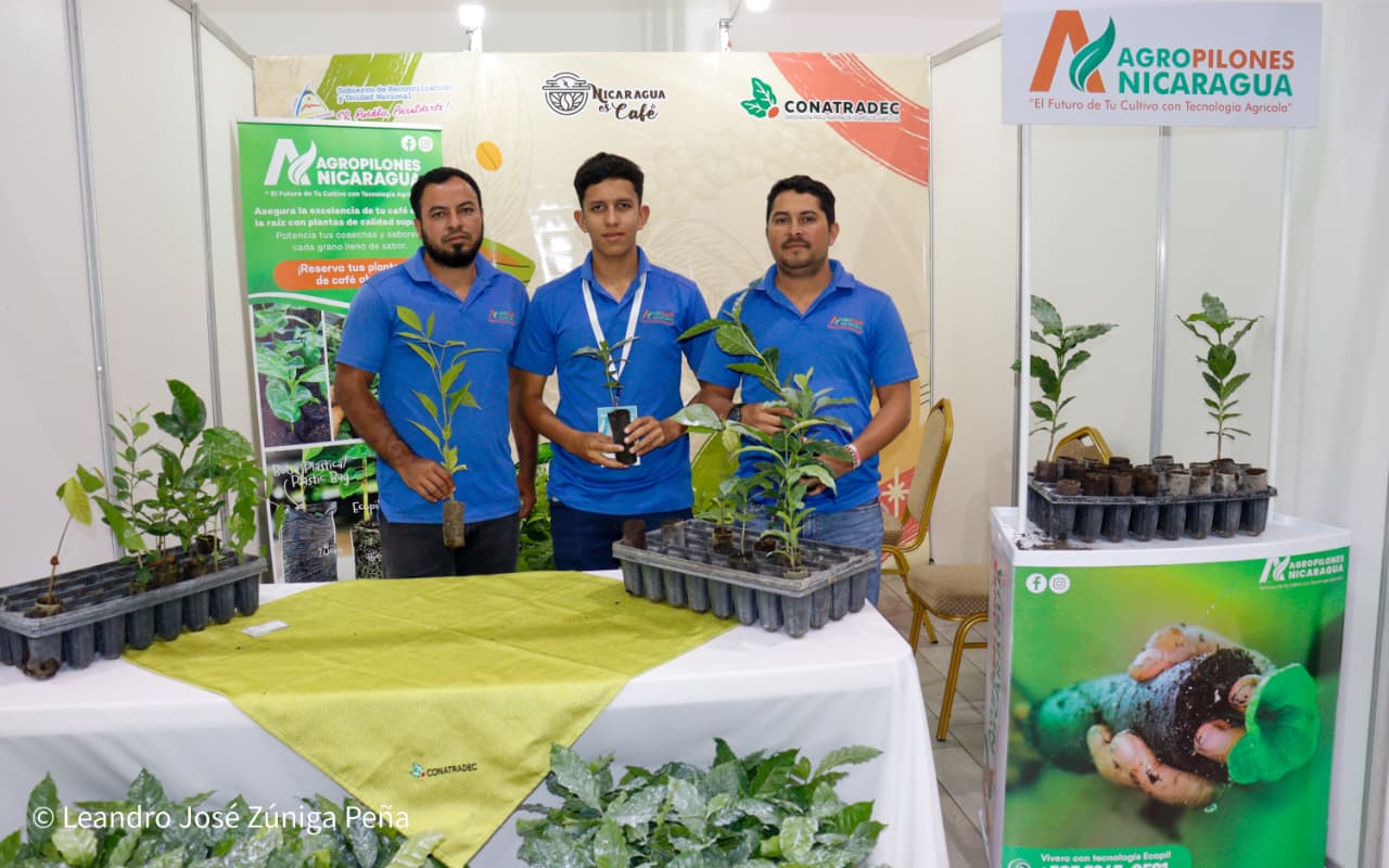 Festival-Nicaragua-es-Cafe-52