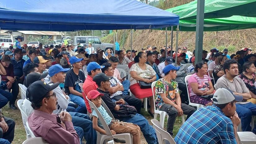 Seguridad-Cosecha-Cafetalera-6