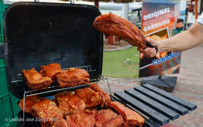 Puerto-Salvador-Allende--(40)