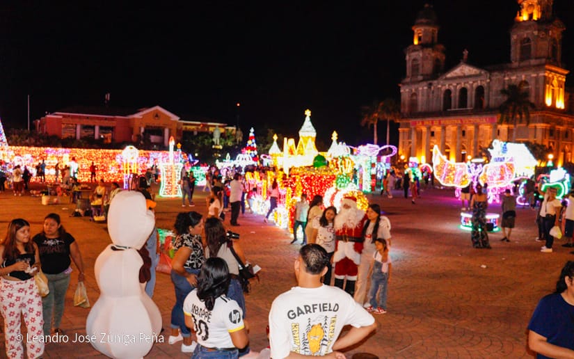 Luces-Navidenas--(15)