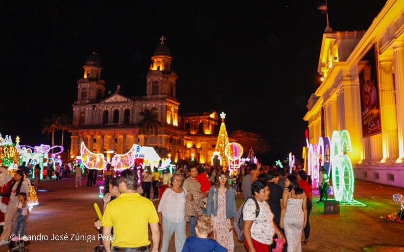 Luces-Navidenas--(16)