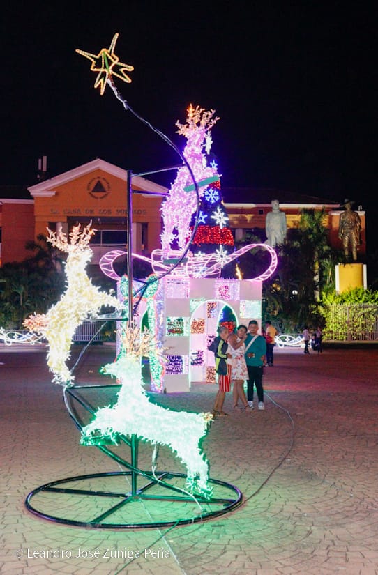 Luces-Navidenas--(21)