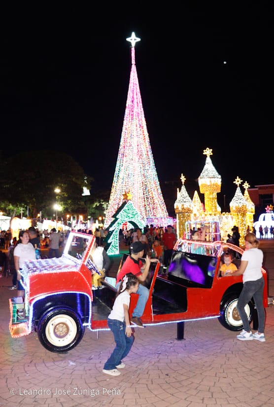 Luces-Navidenas--(24)