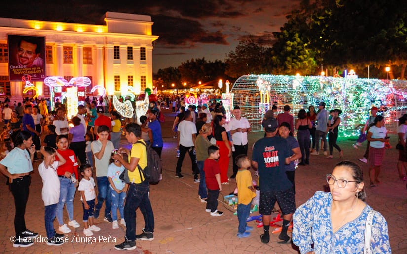 Luces-Navidenas--(29)