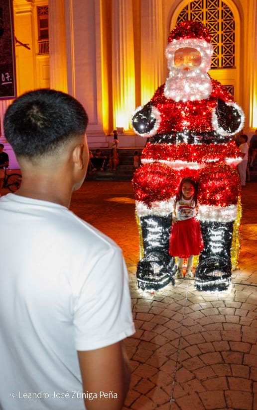 Luces-Navidenas--(31)