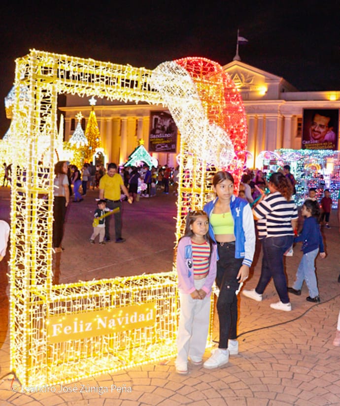 Luces-Navidenas--(32)