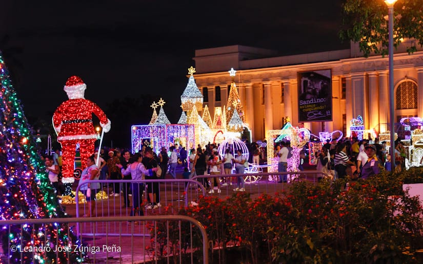 Luces-Navidenas--(37)