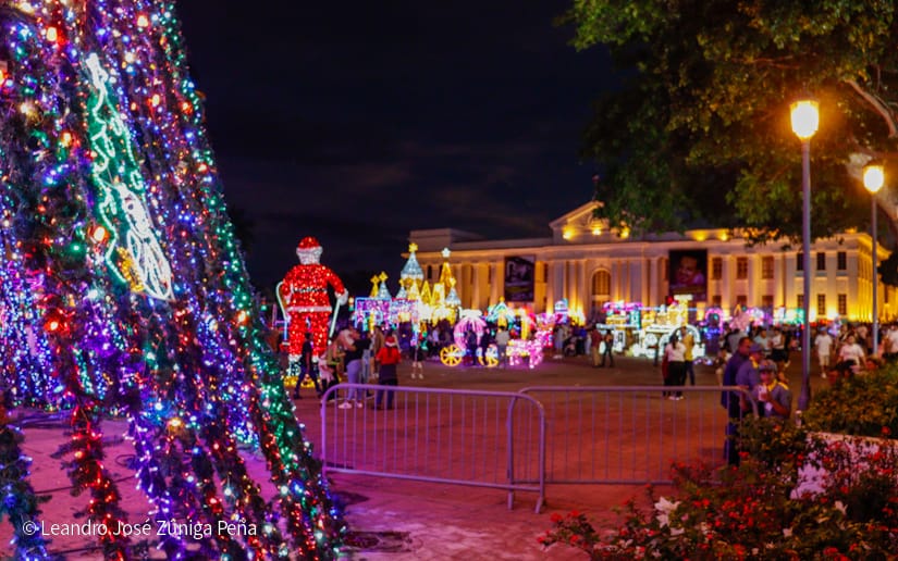 Luces-Navidenas--(38)