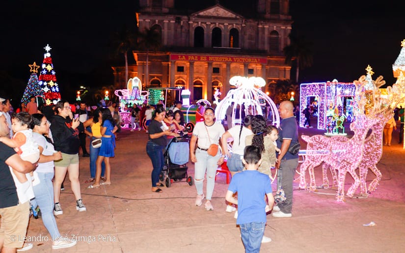 Luces-Navidenas--(41)