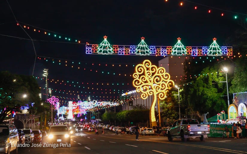 Luces-Navidenas--(42)