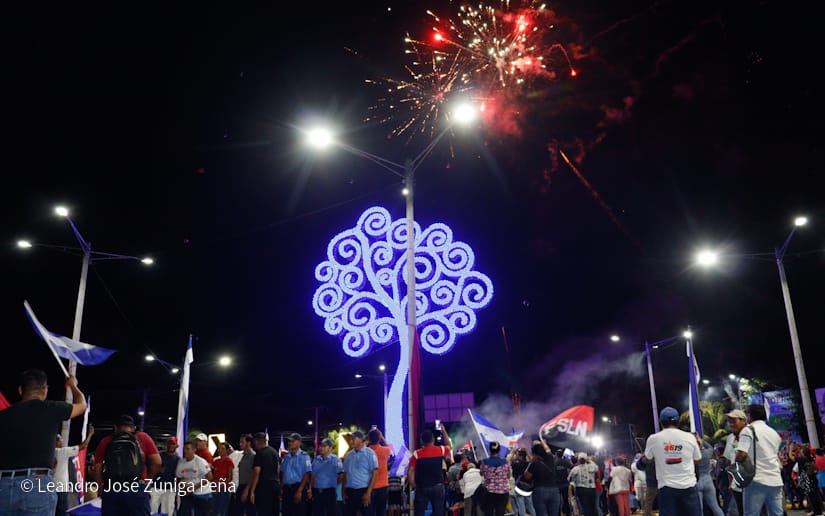 ARBOL-(9)