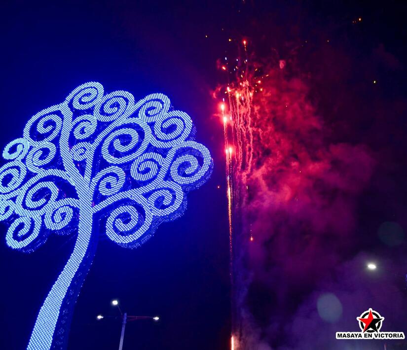 ARBOL-(10)