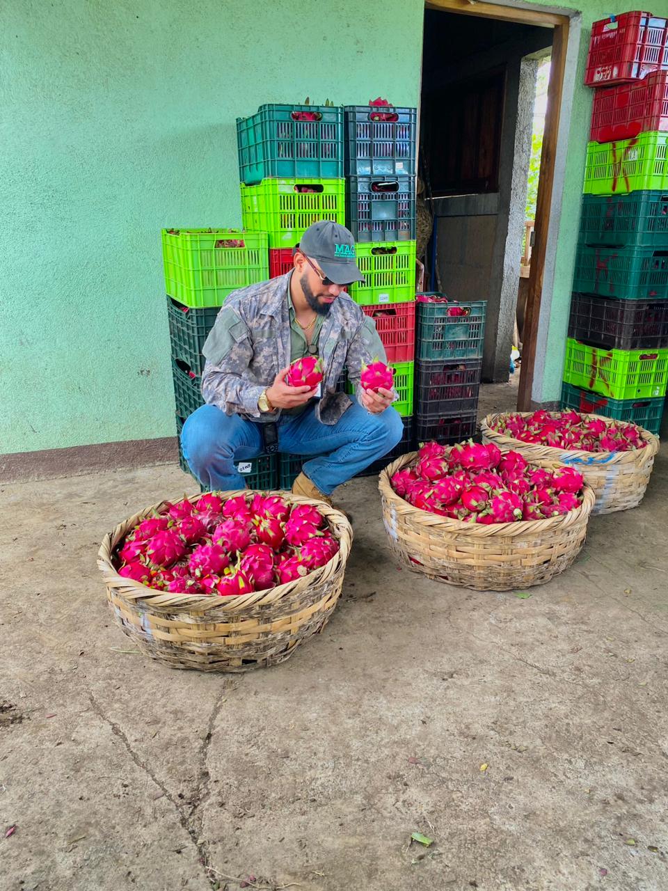 PITAYA1