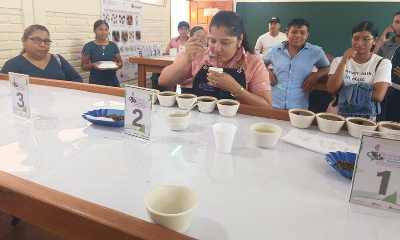 CAFE-7