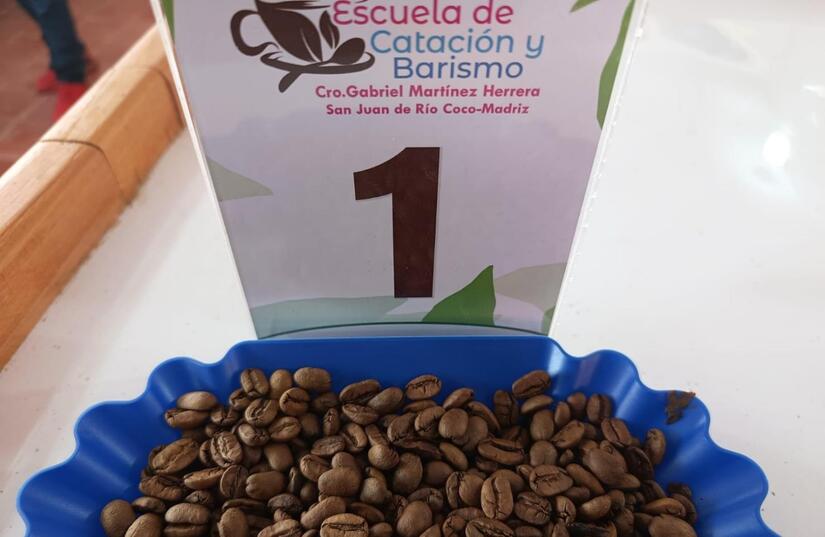 CAFE-8