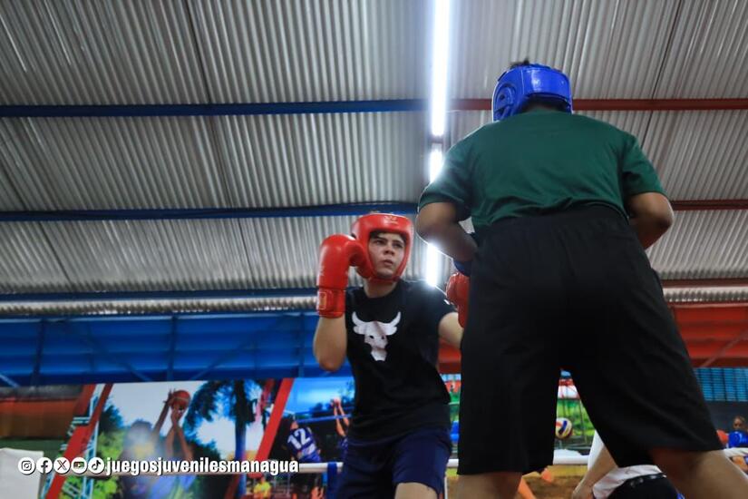 Boxeo-3